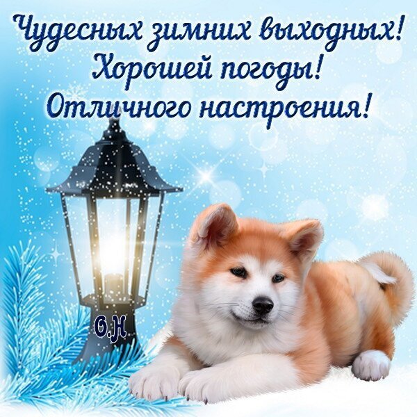 Поздравительная открытка: милый щенок, фонарь и снег. Текст: Чудесных зимних выходных! Хорошей погоды! Отличного настроения!. Идеально для зимнего праздника. Открытка Чудесных зимних выходных! Красивая поздравительная открытка для зимних выходных. На изображении милый рыже-белый щенок породы акита-ину (или сиба-ину), лежащий на снегу рядом с классическим уличным фонарем, свет которого создает уютную атмосферу. На фоне — зимний пейзаж с мерцающими снежинками и хвойными ветками. Сверху расположен праздничный текст на русском языке: Чудесных зимних выходных! Хорошей погоды! Отличного настроения!