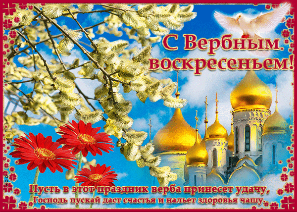 Поздравление с Вербным воскресеньем: золотые купола храма, ветви вербы и красные цветы на фоне голубого неба. Красочная открытка с добрыми пожеланиями. Анимированная открытка С Вербным Воскресеньем! Красочная поздравительная открытка к Вербному воскресенью. На изображении запечатлен солнечный пейзаж с золотыми куполами православного храма на фоне ярко-голубого неба. На переднем плане — ветви цветущей вербы и яркие красные герберы. В композицию вписан праздничный текст на русском языке: «С Вербным воскресеньеньем!» и благопожелание: «Пусть в этот праздник верба принесет удачу, Господь пускай даст счастья и нальет здоровья чашу»