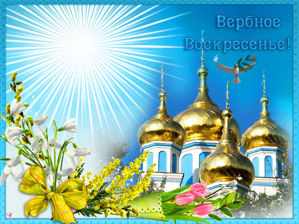 Красивая открытка на Вербное воскресенье: золотые купола храма, весенние цветы, белый голубь и яркое солнце. Поздравление с праздником! Анимированная открытка С вербным Воскресеньем! Праздничная открытка к Вербному воскресенью с изображением золотых куполов православного храма под ярким солнечным небом. На переднем плане — нежный букет весенних цветов: белых подснежников, желтой мимозы и розовых тюльпанов, украшенный золотистым бантом. В небе парит белый голубь, а солнечные лучи символизируют свет и надежду