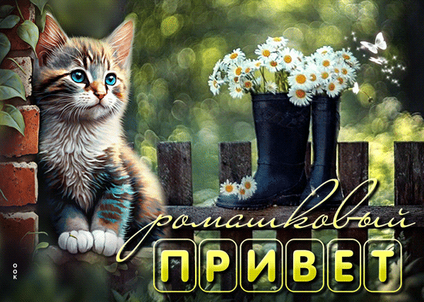 Милый котенок с голубыми глазами и букет ромашек в сапожках. Красочная открытка с надписью «Ромашковый ПРИВЕТ» для доброго пожелания и отличного настроения! Анимированная открытка Ромашковый привет Милая и атмосферная открытка с пушистым полосатым котенком с ярко-голубыми глазами. Котенок сидит рядом с деревянным забором, а на заднем плане красуется пара черных резиновых сапог, в которых стоят белоснежные ромашки. Изображение дополнено декоративной надписью на русском языке «Ромашковый ПРИВЕТ» и нежными светящимися элементами, напоминающими бабочек. Теплое солнечное освещение и эффект боке создают уютное, летнее и позитивное настроение