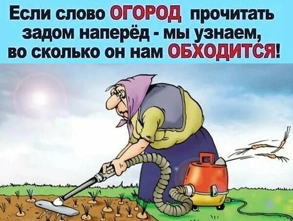 Смешной мем про огород: шутка о том, что если прочитать слово «огород» наоборот, можно узнать, во сколько он обходится. Ироничная иллюстрация садовых расходов. Открытка Огород наоборот Юмористическая картинка-мем, иллюстрирующая ироничную шутку о стоимости ведения садоводства. На изображении нарисован пожилой человек (женщина), который с помощью пылесоса собирает урожай овощей с грядки. В верхней части картинки расположен текст на русском языке: «Если слово ОГОРОД прочитать задом наперед - мы узнаем, во сколько он нам ОБХОДИТСЯ!»