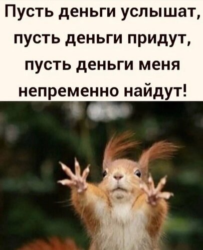 Смешной мем с белкой и текстом-аффирмацией о привлечении денег: «Пусть деньги услышат, пусть деньги придут...». Юмористическая картинка про богатство и удачу. Открытка Пусть деньги услышат пусть деньги придут Смешной мем с изображением рыжей белки, которая широко расставила лапки, словно призывая или ждет чего-то с нетерпением. На картинке наложен текст на русском языке: 