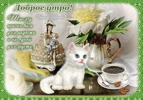 Открытка «Доброе утро!» с милым белым котенком, чашкой кофе и цветами. Пожелание радости и вдохновения для хорошего начала дня. Анимированная открытка Доброе утро! Красивая поздравительная открытка с пожеланием доброго утра. На изображении представлена милая белая кошечка, сидящая рядом с чашкой кофе, пышным белым цветком в вазе и изящной статуэткой девушки. Атмосфера уюта и тепла дополнена вдохновляющей надписью на русском языке: «Доброе утро! Тысячу причин вам для радости и ни одной для грусти» Открытка «Доброе утро!» с милым белым котенком, чашкой кофе и цветами. Пожелание радости и вдохновения для хорошего начала дня. Анимированная открытка Доброе утро! Красивая поздравительная открытка с пожеланием доброго утра. На изображении представлена милая белая кошечка, сидящая рядом с чашкой кофе, пышным белым цветком в вазе и изящной статуэткой девушки. Атмосфера уюта и тепла дополнена вдохновляющей надписью на русском языке: «Доброе утро! Тысячу причин вам для радости и ни одной для грусти»