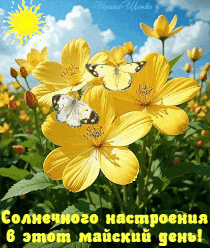 Красочная открытка с желтыми цветами, бабочками и солнцем. Надпись: «Солнечного настроения в этот майский день!». Идеально для весенних поздравлений. Анимированная открытка Солнечного настроения! Яркая и жизнерадостная летняя иллюстрация с крупными желтыми цветами, распустившимися под ласковым солнцем. На нежных лепестках сидят две изящные белые бабочки. На фоне — чистое голубое небо с пушистыми белыми облаками, создающее атмосферу тепла и безмятежности. В нижней части изображения расположена поздравительная надпись на русском языке: «Солнечного настроения в этот майский день!»