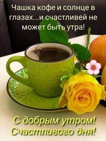 Уютное фото с чашкой кофе, желтой розой и апельсином. Красивая открытка с пожеланием доброго утра и счастливого дня на русском языке. Открытка Чашка кофе и солнце в глазах... и счастливей не может быть утра! С добрым утром! Счастливого дня! Эстетичное изображение для утреннего настроения: чашка ароматного черного кофе в зеленой керамической кружке на блюдце, украшенная яркой желтой розой и спелым апельсином. На картинке присутствует вдохновляющая надпись на русском языке: «Чашка кофе и солнце в глазах... и счастливей не может быть утра! С добрым утром! Счастливого дня!». Теплые тона, солнечный свет и цветы создают атмосферу уюта, радости и позитивного начала дня