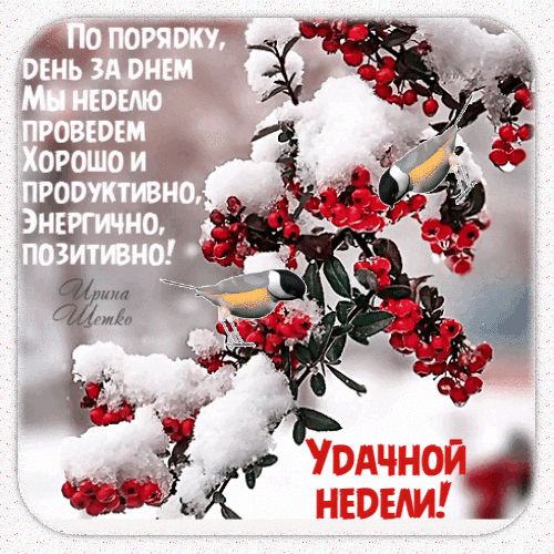 Зимняя открытка с пожеланием удачной, продуктивной и позитивной недели. Заснеженная рябина с ягодами и птичками. Красивое изображение для соцсетей. Анимированная открытка Удачной недели! Красивая зимняя открытка с пожеланием продуктивной недели. На изображении заснеженная ветка рябины с ярко-красными ягодами, на которой сидят две маленькие птички