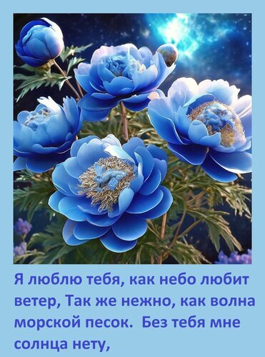 Романтическая открытка с голубыми пионами и трогательной цитатой о любви на украинском языке. Идеально для признания в чувствах и нежных поздравлений. Открытка Я люблю тебя, как небо любит ветер. Так же нежно, как волна морской песок. Красивая открытка с изображением нежно-голубых пионов на фоне звездного ночного неба. На картинке размещена романтическая цитата на украинском языке: Я люблю тебя, как небо любит ветер, так же нежно, как волна морской песок. Без тебя мне солнца нету. Идеально подходит для выражения чувств, признания в любви и отправки любимому человеку в качестве эмоционального поздравления или романтического сообщения Романтическая открытка с голубыми пионами и трогательной цитатой о любви на украинском языке. Идеально для признания в чувствах и нежных поздравлений. Открытка Я люблю тебя, как небо любит ветер. Так же нежно, как волна морской песок. Красивая открытка с изображением нежно-голубых пионов на фоне звездного ночного неба. На картинке размещена романтическая цитата на украинском языке: Я люблю тебя, как небо любит ветер, так же нежно, как волна морской песок. Без тебя мне солнца нету. Идеально подходит для выражения чувств, признания в любви и отправки любимому человеку в качестве эмоционального поздравления или романтического сообщения