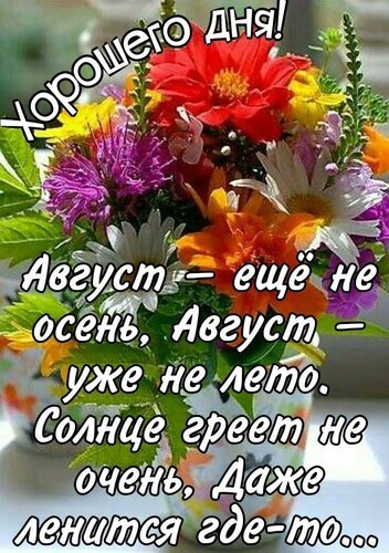 Яркий букет цветов с надписью «Хорошего дня!». Красивая открытка на август: о том, что август — это уже не лето, но еще не осень. Пожелание доброго дня. Открытка Хорошего дня! Август еще не осень, Август уже не лето. Солнце греет не очень, Даже ленится где -то.. Красочный осенний букет ярких цветов (красных, желтых, фиолетовых и белых) в декоративном горшке с романтичной надписью на русском языке. Картинка передает атмосферу конца лета и начала осени с философской цитатой о тепле солнца и переменах в природе