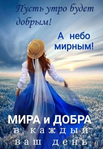 Пожелание доброго утра и мирного неба: красивая картинка с девушкой в синем платье на фоне поля и рассвета. Мира и добра в каждый ваш день! Открытка Мира и добра в ваш день Красивая и вдохновляющая открытка с пожеланием доброго утра и мирного неба. На изображении запечатлена девушка в летящем синем платье и соломенной шляпе, идущая по бескрайнему цветочному полю на фоне живописного рассвета. Текст на картинке гласит: «Пусть утро будет добрым! А небо мирным! Мира и добра в каждый ваш день»