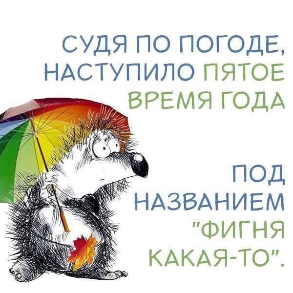 Смешной мем про странную дождливую погоду: грустный ежик под зонтом и надпись Пятое время года — фигня какая-то. Ироничная картинка для соцсетей. Открытка Пятое время года Смешная и ироничная картинка-мем с изображением грустного ежика под разноцветным зонтом. Текст на картинке гласит: Судя по погоде, наступило пятое время года под названием 'фигня какая-то'. Изображение передает состояние неопределенности и странности переменчивой погоды через юмор и милую рисовку Смешной мем про странную дождливую погоду: грустный ежик под зонтом и надпись Пятое время года — фигня какая-то. Ироничная картинка для соцсетей. Открытка Пятое время года Смешная и ироничная картинка-мем с изображением грустного ежика под разноцветным зонтом. Текст на картинке гласит: Судя по погоде, наступило пятое время года под названием 'фигня какая-то'. Изображение передает состояние неопределенности и странности переменчивой погоды через юмор и милую рисовку