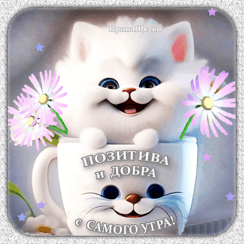 Милый белый котенок в кружке с розовыми цветами. Надпись: Позитива и добра с самого утра!. Идеальная картинка для доброго утреннего пожелания. Анимированная открытка Доброе утро! Милая и позитивная картинка с изображением пушистого белого котенка, выглядывающего из белой кружки. Котенок улыбается, создавая радостное настроение. Вокруг него расположены нежные розовые цветы (ромашки). На изображении присутствует надпись на русском языке: 