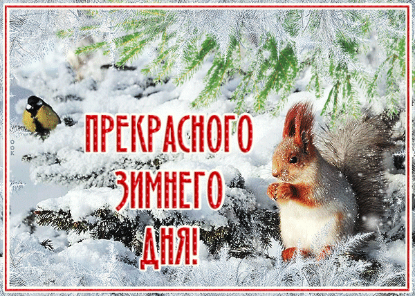 Зимняя открытка с пушистой белкой и птицей на снежных ветках ели. Надпись: «ПРЕКРАСНОГО ЗИМНЕГО ДНЯ!». Идеально для зимних поздравлений и пожеланий. Анимированная открытка Прекрасного зимнего дня Красочное зимнее изображение с белочкой и птицей на фоне заснеженных еловых ветвей. На картинке расположен праздничный текст красным цветом: «ПРЕКРАСНОГО ЗИМНЕГО ДНЯ!»