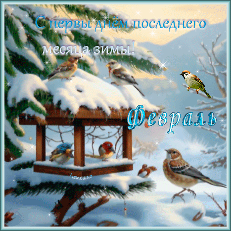 Поздравление с первым днем февраля: зимний пейзаж с птицами и снежным настроением. Красивая открытка «С первым днем февраля!» для соцсетей. Анимированная открытка Февраль С первым днем последнего месяца зимы! Красивая поздравительная открытка к первому дню февраля. На зимнем пейзаже среди заснеженных веток и птичьей кормушки изображены маленькие птицы. На картинке красуется надпись на русском языке: «С первым днем последнего месяца зимы! Февраль»