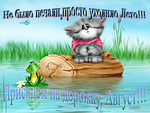 Милая открытка с грустным котенком и надписью «Не было печали, просто уходило Лето!!! Присядем на дорожку, Август!!!». Прощание с летом в красивом стиле. Открытка Присядем на дорожку август. Не было печали, просто уходило Лето! Милая и эмоциональная открытка с грустным серым котенком в розовом свитере, сидящим на бревне в воде. На фоне — летний пейзаж с травой и камышами. На картинке расположены надписи на русском языке: «Не было печали, просто уходило Лето!!!» и «Присядем на дорожку, Август!!!». Изображение передает атмосферу легкой светлой грусти по уходящему лету и прощания с августом