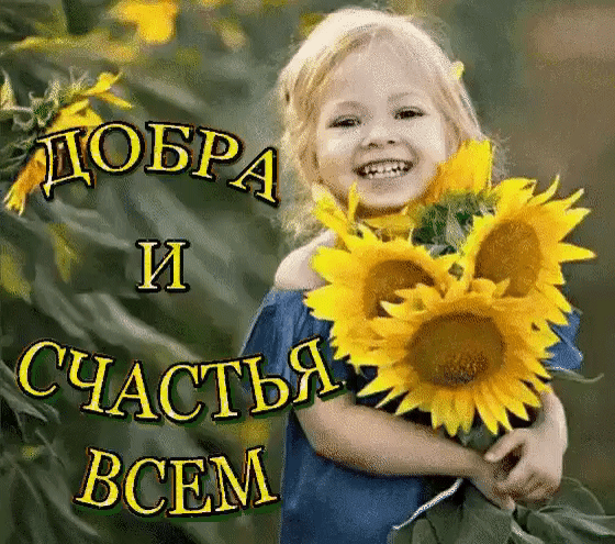 Поздравительная открытка: улыбающаяся девочка с букетом подсолнухов и надпись «Добра и счастья всем». Теплое летнее пожелание для близких и друзей. Анимированная открытка Добра и счастья всем Красивая поздравительная открытка с изображением улыбающейся маленькой девочки, которая держит в руках букет ярких желтых подсолнухов. На фоне — размытый летний сад. На картинке наложен текст на русском языке: «ДОБРА И СЧАСТЬЯ ВСЕМ»