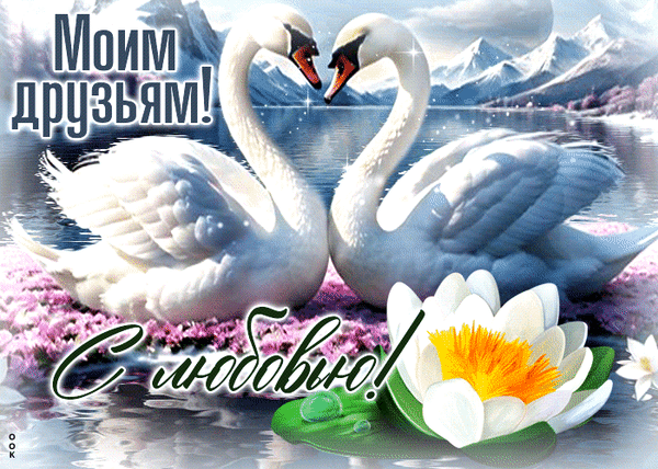 Романтичная открытка «Моим друзьям! С любовью!» с парой лебедей, образующих сердце, на фоне горного озера и кувшинки. Идеально для поздравлений. Анимированная открытка Моим друзьям с любовью Красивая поздравительная открытка с изображением двух белых лебедей, склонивших головы друг к другу, образуя форму сердца. На фоне — живописный горный пейзаж с озером и заснеженными вершинами. На переднем плане крупным планом изображена нежная кувшинка. На картинке нанесен текст на русском языке: «Моим друзьям!» в верхней части и «С любовью!» в нижней
