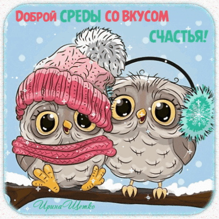 Милая открытка с совами: «Доброй среды со вкусом счастья!». Зимний уютный рисунок для пожелания отличного настроения в среду. Анимированная открытка Доброй среды! Милая поздравительная открытка с двумя очаровательными совами в зимней одежде. Одна сова в розовой вязаной шапке с помпоном и розовом шарфе, вторая — в голубых наушниках с узором снежинки. Птицы сидят на ветке, покрытой снегом, на нежно-голубом фоне. Сверху надпись на русском языке: «Доброй СРЕДЫ со вкусом СЧАСТЬЯ!»