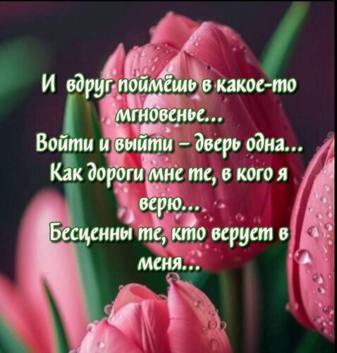 Розовые тюльпаны с росой и вдохновляющая цитата о ценности веры в человека. Эстетичная картинка для души и социальных сетей. Открытка И вдруг поймешь в какое-то мгновенье... Войти и выйти - дверь одна... Как дороги мне те, в кого я верю Красивое изображение розовых тюльпанов с каплями росы, на которое наложен эмоциональный текст на русском языке о ценности веры в человека и важности момента. Иллюстрация передает атмосферу нежности, душевности и глубоких размышлений о человеческих отношениях и поддержке