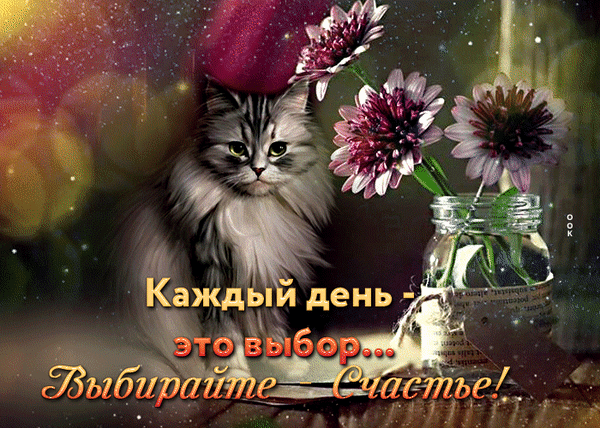 Открытка с милым котом и цветами. Мотивирующая цитата: «Каждый день — это выбор... Выбирайте — Счастье!». Идеально для пожелания добра и хорошего настроения. Анимированная открытка Каждый день Выбирайте это выбор… частье! Красивая поздравительная открытка с пушистым серым котом и нежными фиолетовыми цветами в вазе. На изображении расположена вдохновляющая цитата на русском языке: Каждый день — это выбор... Выбирайте — Счастье!