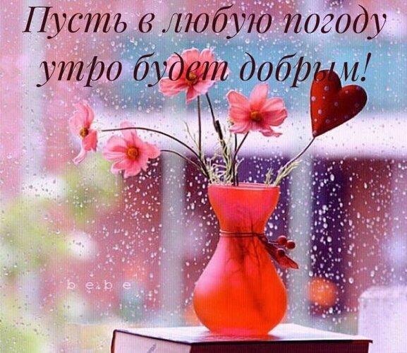 Красивая открытка «Пусть в любую погоду утро будет добрым!». Розовые цветы в красной вазе у окна с каплями дождя. Пожелание доброго утра и уюта. Открытка Пусть в любую погоду утро будет добрым! Красивая открытка с вдохновляющей надписью на русском языке «Пусть в любую погоду утро будет добрым!». На изображении представлен изящный красный вазочка с нежными розовыми цветами, стоящая на книге у окна. За стеклом видны капли дождя, создающие уютную и меланхоличную атмосферу. Идеально подходит для пожелания доброго утра, создания позитивного настроения и передачи теплых чувств в пасмурный день