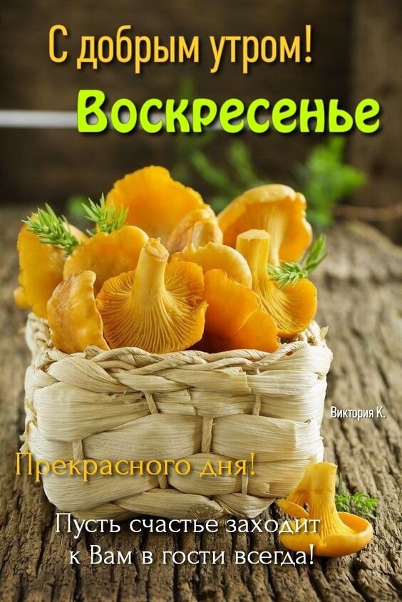 Открытка «С добрым утром! Воскресенье!» с корзинкой лисичек. Теплое пожелание прекрасного дня и счастья для ваших близких в воскресенье. Открытка С добрым утром! Воскресенье. Красивая поздравительная открытка с изображением корзинки свежих золотистых лисичек на деревянном фоне. На картинке нанесен текст на русском языке: «С добрым утром! Воскресенье. Прекрасного дня! Пусть счастье заходит к Вам в гости всегда!»