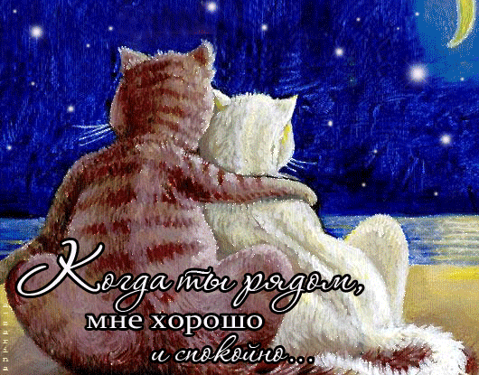 Два обнимающихся кота на фоне звездного неба. Романтичная картинка с надписью: «Когда ты рядом, мне хорошо и спокойно...». Иллюстрация о любви и уюте. Открытка Когда ты рядом, мне хорошо и спокойно... Милая и романтичная иллюстрация с двумя котами, которые сидят спиной к зрителю и обнимаются, глядя на звездное ночное небо под светом луны. На картинке присутствует надпись на русском языке: «Когда ты рядом, мне хорошо и спокойно...». Изображение передает атмосферу уюта, нежности, любви и спокойствия