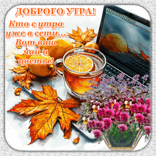 Уютная осенняя открытка «Доброго утра!»: чашка чая с лимоном, мандарины, осенние листья и цветы. Идеальное пожелание для соцсетей и мессенджеров. Анимированная открытка Доброе утро! Красивая осенняя открытка с пожеланием доброго утра. На композиции изображена чашка горячего чая с долькой лимона, яркие осенние листья клена, спелые мандарины и нежный букет розовых цветов на фоне ноутбука Уютная осенняя открытка «Доброго утра!»: чашка чая с лимоном, мандарины, осенние листья и цветы. Идеальное пожелание для соцсетей и мессенджеров. Анимированная открытка Доброе утро! Красивая осенняя открытка с пожеланием доброго утра. На композиции изображена чашка горячего чая с долькой лимона, яркие осенние листья клена, спелые мандарины и нежный букет розовых цветов на фоне ноутбука