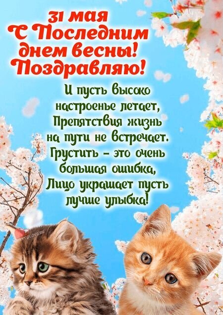 Поздравление с последним днем весны (31 мая) с милыми котятами и цветами. Красивая открытка с добрыми стихами и пожеланиями хорошего настроения. Открытка С последним днем весны! Открытка к последнему дню весны (31 мая) с милыми котятами на фоне цветущей сакуры и голубого неба. На изображении размещено красивое поздравление в стихах: пожелание высокого настроения, отсутствия препятствий и искренних улыбок