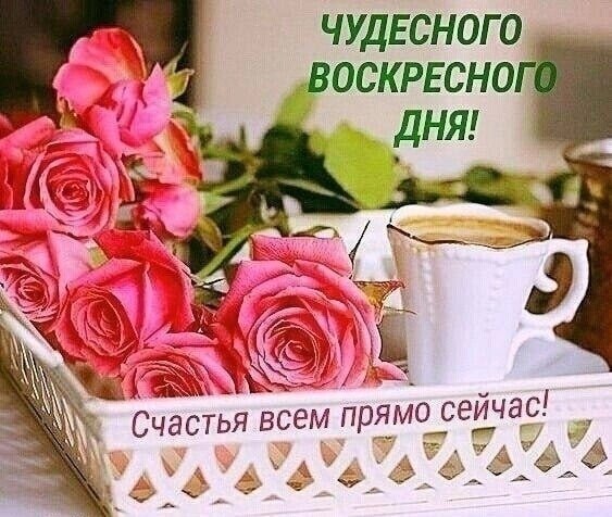 Поздравительная открытка с розовыми розами и чашкой кофе. Надпись: «Чудесного воскресного дня! Счастья всем прямо сейчас!». Идеально для доброго утра. Открытка Чудесного воскресного дня Красивая поздравительная открытка с букетом нежных розовых роз в белой плетеной корзинке и чашкой ароматного кофе. На изображении надпись на русском языке: «Чудесного воскресного дня!» и «Счастья всем прямо сейчас!»