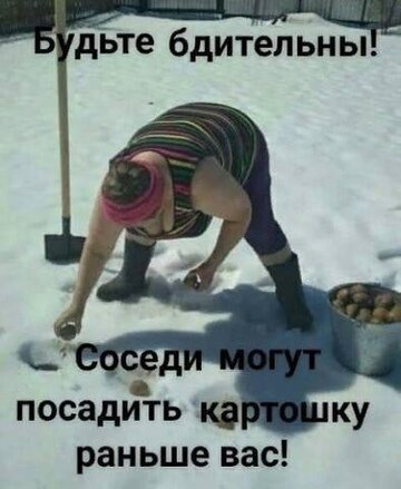 Смешной мем про дачников: «Будьте бдительны! Соседи могут посадить картошку раньше вас!». Юмор про огород и раннюю весну. Открытка Будьте бдительными Смешной мем на русском языке с изображением женщины, которая копает снег, словно она сажает картофель. Текст на картинке гласит: «Будьте бдительны! Соседи могут посадить картошку раньше вас!». Юмористический контент, посвященный дачному сезону, весенним работам и ироничному отношению к садоводству