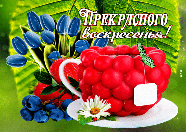 Яркая открытка с малиновой чашкой, синими тюльпанами и клубникой. Пожелание «Прекрасного воскресенья!» на фоне сочной летней зелени. Анимированная открытка Прекрасного воскресенья Яркая и жизнерадостная поздравительная открытка к воскресенью. На изображении представлен необычный десерт в виде чашки, полностью состоящей из спелой красной малины, стоящей на белом блюдце. Рядом с чашкой расположены изящные синие тюльпаны, сочные ягоды клубники, маленькая белая ромашка с божьей коровкой и зеленая бабочка. Фон украшен крупными зелеными листьями. Сверху нанесена красивая надпись на русском языке: «Прекрасного воскресенья!»