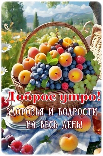 Доброе утро! Красочная открытка с корзиной сочных фруктов и пожеланием здоровья и бодрости на весь день. Идеально для утренних поздравлений в WhatsApp и соцсетях. Открытка Доброе утро! Красочная поздравительная открытка с корзиной спелых фруктов на фоне солнечного летнего пейзажа. В корзине представлены сочные персики, виноград, малина и черника. На изображении наложен праздничный текст на русском языке: Доброе утро! Здоровья и бодрости на весь день!. Идеально подходит для отправки в мессенджерах (WhatsApp, Viber) и социальных сетях в качестве доброго утреннего пожелания близким и друзьям Доброе утро! Красочная открытка с корзиной сочных фруктов и пожеланием здоровья и бодрости на весь день. Идеально для утренних поздравлений в WhatsApp и соцсетях. Открытка Доброе утро! Красочная поздравительная открытка с корзиной спелых фруктов на фоне солнечного летнего пейзажа. В корзине представлены сочные персики, виноград, малина и черника. На изображении наложен праздничный текст на русском языке: Доброе утро! Здоровья и бодрости на весь день!. Идеально подходит для отправки в мессенджерах (WhatsApp, Viber) и социальных сетях в качестве доброго утреннего пожелания близким и друзьям