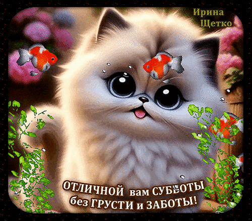 Милая открытка с котенком и рыбками для пожелания отличной субботы без грусти и забот. Позитивное изображение для хорошего настроения в выходной день! Анимированная открытка Отличной вам Субботы без Грусти и Заботы! Милая и эмоциональная открытка с изображением пушистого котенка с огромными блестящими глазами. Вокруг котенка плавают маленькие золотые рыбки, создавая сказочную атмосферу. На картинке присутствует поздравительная надпись на русском языке: 