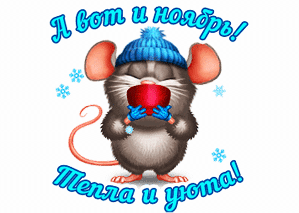 Милая открытка с мышкой в шапке и надписью «А вот и ноябрь! Тепла и уюта!». Зимняя иллюстрация для осеннего настроения и поздравлений в соцсетях. Анимированная открытка А Вот И Ноябрь. Тепла и уюта. Милая зимняя открытка с изображением пушистой мышки в синей вязаной шапке, которая греет лапки в красной чашке. Вокруг мышки падают снежинки. На картинке расположен текст на русском языке: «А вот и ноябрь! Тепла и уюта!»