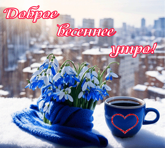 Открытка Доброе весеннее утро! с подснежниками в синем шарфе, чашкой кофе и городским пейзажем на фоне весеннего солнца. Идеально для поздравлений. Анимированная открытка Доброе весеннее утро! Красивая поздравительная открытка на весеннюю тематику. На переднем плане изображен букет нежных подснежников в синем вязаном шарфе, лежащий на пушистом снегу. Рядом стоит чашка горячего кофе в синей кружке с красным контуром сердца. Задний план представляет собой размытый городской пейзаж под мягким солнечным светом. Сверху нанесена яркая красная надпись на русском языке: 