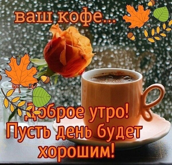 Уютное осеннее фото с чашкой кофе, оранжевой розой и осенними листьями. Пожелание доброго утра: «Пусть день будет хорошим!» для создания настроения. Открытка Доброе утро! Пусть день будет хорошим! Уютное осеннее изображение с чашкой горячего кофе на фоне запотевшего окна. Композицию дополняют яркие осенние листья клена и пышная оранжевая роза. На картинке нанесен текст на русском языке: «Ваш кофе... Доброе утро! Пусть день будет хорошим!» Уютное осеннее фото с чашкой кофе, оранжевой розой и осенними листьями. Пожелание доброго утра: «Пусть день будет хорошим!» для создания настроения. Открытка Доброе утро! Пусть день будет хорошим! Уютное осеннее изображение с чашкой горячего кофе на фоне запотевшего окна. Композицию дополняют яркие осенние листья клена и пышная оранжевая роза. На картинке нанесен текст на русском языке: «Ваш кофе... Доброе утро! Пусть день будет хорошим!»