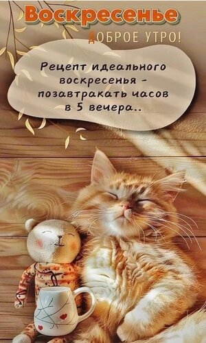 Милая открытка на воскресенье: спящий рыжий котенок и уютная цитата про идеальный завтрак в 5 вечера. Пожелание доброго утра для близких и друзей. Открытка Воскресенье, доброе утро Уютная праздничная открытка к воскресенью с милым рыжим котенком. На изображении спящий пушистый котенок, мягкая игрушка и кружка, создающие атмосферу тепла и спокойствия. На картинке размещен вдохновляющий текст на русском языке: «Воскресенье. Доброе утро! Рецепт идеального воскресеньенья — позавтракать часов в 5 вечера..»