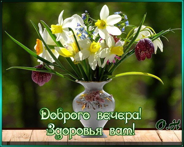 Весенний букет нарциссов в вазе с пожеланием «Доброго вечера! Здоровья вам!». Красивая открытка для душевного вечернего приветствия близким. Открытка Доброго вечера! Здоровья! Красивый и весенний букет из белых нарциссов и нежных полевых цветов в изящной светлой вазе на деревянном столе. На переднем плане расположена теплая поздравительная надпись на русском языке «Доброго вечера! Здоровья вам!». Изображение выполнено в светлых, солнечных тонах с размытым зеленым фоном, создавая атмосферу уюта, спокойствия и душевного тепла