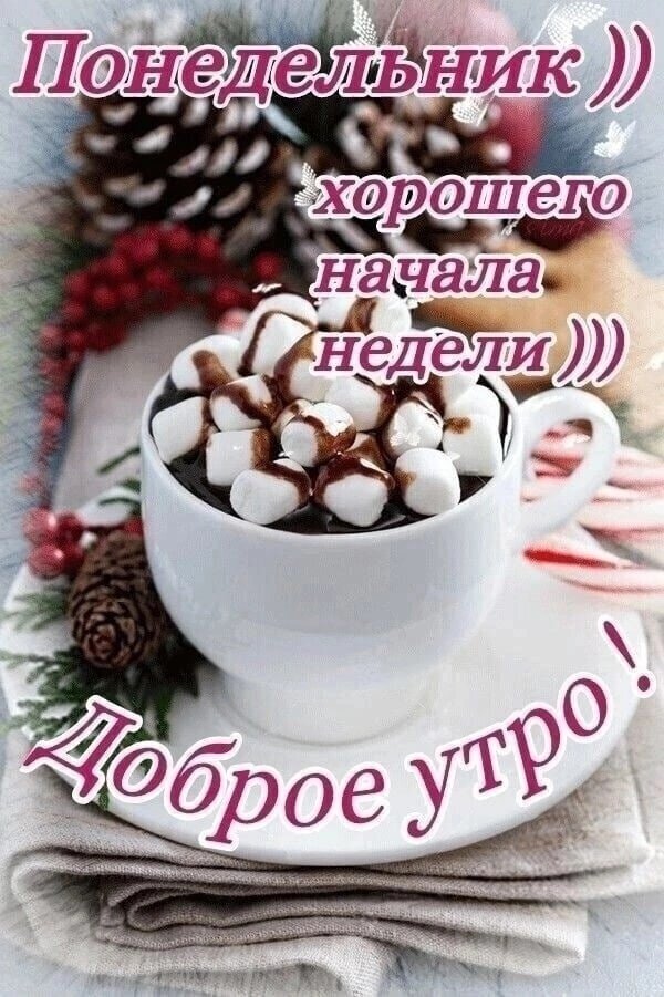 Доброе утро и удачного понедельника! Уютная картинка с горячим шоколадом, маршмэллоу и зимним декором для отличного начала недели. Открытка Доброе утро Понедельника! Уютное праздничное изображение для пожелания доброго утра в понедельник. На картинке представлена белая чашка горячего шоколада с белыми маршмэллоу, украшенная хвойными ветками, шишками и красными ягодами. Атмосферный зимний натюрморт с надписью на русском языке «Понедельник )) Хорошего начала недели )) Доброе утро!»