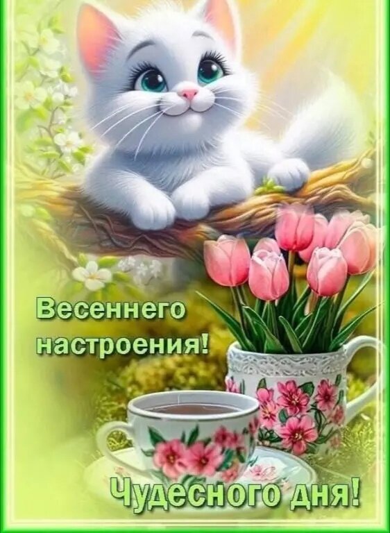 Милая открытка с белым котенком, тюльпанами и чашкой чая. Пожелание весеннего настроения и чудесного дня. Идеально для доброго утра и весеннего настроения! Открытка Чудесного дня Милая и добрая открытка с изображением пушистого белого котенка, уютно устроившегося на ветке дерева. На переднем плане — чашка ароматного чая и букет нежно-розовых тюльпанов в красивой кружке. Атмосфера весеннего тепла, уюта и радости. На картинке нанесен поздравительный текст на русском языке: «Весеннего настроения! Чудесного дня!»