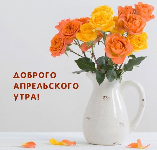Красивая открытка с букетом оранжевых и желтых роз и надписью «Доброго апрельского утра!». Позитивное пожелание доброго утра в апреле для соцсетей и мессенджеров. Открытка Доброго Апрельского УТРА! Красивое поздравительное изображение с букетом ярких оранжевых и желтых роз в белой керамической вазе на светлом фоне. На картинке нанесена надпись на русском языке: 