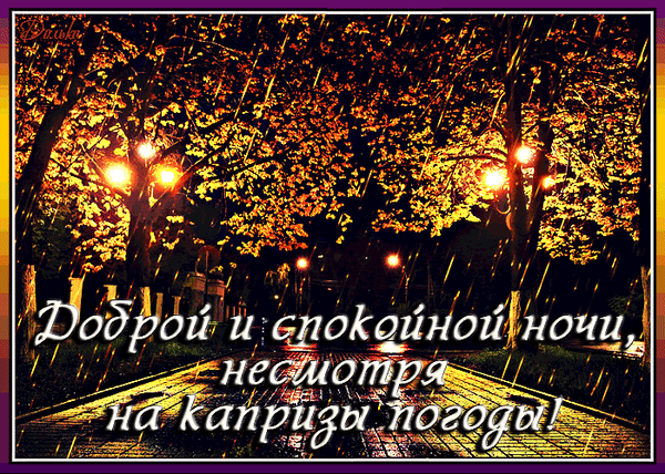 Доброй и спокойной ночи, несмотря на капризы погоды! Уютная открытка с ночным парком, фонарями и дождем для отправки близким в мессенджерах. Анимированная открытка Доброй НОЧИ! Несмотря на каризы погоды. Уютная и атмосферная открытка на доброй ночи с видом на ночной парк под дождем. На изображении запечатлена залитая теплым светом фонарей мощеная дорожка, окруженная деревьями с золотистой листвой. Капли дождя создают эффект присутствия и меланхоличного уюта. Поверх картинки наложен красивый текст на русском языке: 