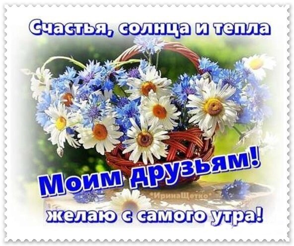 Красивая открытка с букетом ромашек и васильков. Надпись: «Счастья, солнца и тепла моим друзьям! Желаю с самого утра!». Пожелание доброго утра для друзей. Открытка Счастья, солнца и тепла Моим друзьям! желаю с самого утра! Красочное поздравительное изображение с пышным букетом полевых цветов в плетеной корзинке. В композиции сочетаются белоснежные ромашки и ярко-голубые васильки на фоне солнечного летнего пейзажа. На картинке размещен вдохновляющий текст на русском языке: «Счастья, солнца и тепла моим друзьям! Желаю с самого утра!»