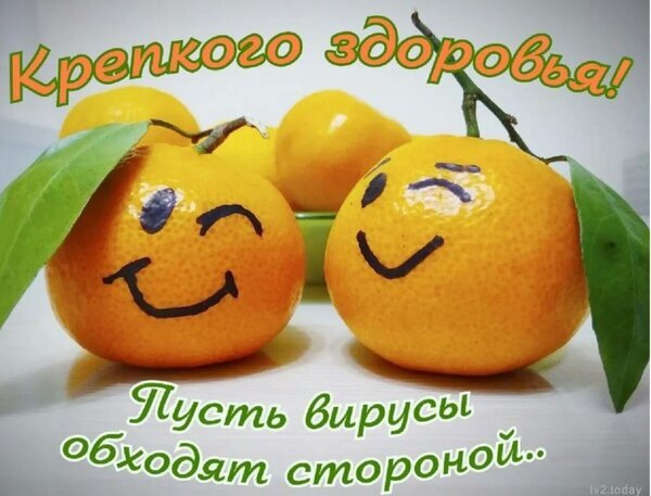 Позитивная открытка с улыбающимися мандаринами и пожеланием крепкого здоровья: «Пусть вирусы обходят стороной!». Яркое пожелание иммунитета и бодрости. Открытка Пусть вирусы обходят стороной Яркая и позитивная поздравительная картинка с изображением двух мандаринов с нарисованными улыбающимися лицами. На фоне видны другие цитрусовые. Надпись на русском языке гласит: «Крепкого здоровья! Пусть вирусы обходят стороной..»