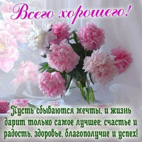 Открытка с розовыми пионами и пожеланиями счастья, здоровья и успеха. Нежное поздравление «Всего хорошего!» для близких и друзей. Открытка Пусть сбываются мечты Красивая поздравительная открытка с пышными розовыми пионами в вазе. На изображении расположен вдохновляющий текст на русском языке: «Всего хорошего! Пусть сбываются мечты, и жизнь дарит только самое лучшее: счастье и радость, здоровье, благополучие и успех!»