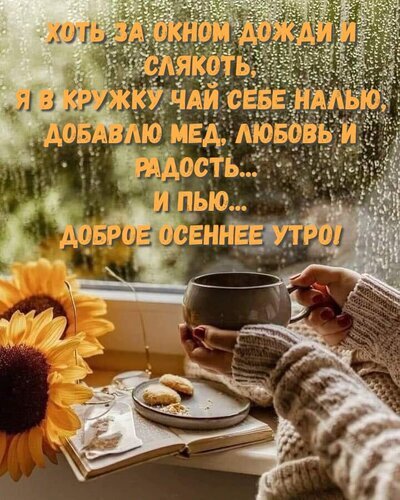 Уютное осеннее утро: чашка чая, подсолнухи и дождь за окном. Атмосферная картинка с добрым пожеланием для создания теплого настроения. Открытка Хоть за окном дожди и слякоть... Уютная осенняя картинка с атмосферным настроением: руки в теплом вязаном свитере держат кружку чая на фоне окна с каплями дождя. На подоконнике лежат подсолнухи, печенье и открытая книга, создавая ощущение тепла, спокойствия и домашнего уюта. На изображении наложен текст на русском языке о радости и любви в дождливое утро Уютное осеннее утро: чашка чая, подсолнухи и дождь за окном. Атмосферная картинка с добрым пожеланием для создания теплого настроения. Открытка Хоть за окном дожди и слякоть... Уютная осенняя картинка с атмосферным настроением: руки в теплом вязаном свитере держат кружку чая на фоне окна с каплями дождя. На подоконнике лежат подсолнухи, печенье и открытая книга, создавая ощущение тепла, спокойствия и домашнего уюта. На изображении наложен текст на русском языке о радости и любви в дождливое утро