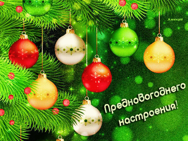Новогодняя открытка с разноцветными елочными шарами на ветках ели и надписью «Предновогоднего настроения!». Праздничный зимний фон с мерцанием и боке. Анимированная открытка Предновогоднего настроения! Праздничная новогодняя открытка с яркими елочными шарами разных цветов: красными, золотистыми, серебристыми и зелеными. Украшения висят на пушистых хвойных ветках ели на светлом зеленом фоне с эффектом мерцания и боке. На изображении присутствует поздравительная надпись на русском языке: «Предновогоднего настроения!»