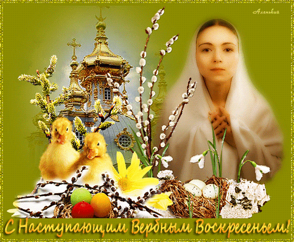 Пасхальная открытка: женщина в молитве, золотой храм, верба, цыплята и пасхальные яйца. Надпись: «С наступающим Вербным Воскресеньем!» Анимированная открытка С Наступающим Вербным Воскресеньем! Религиозная поздравительная открытка к Пасхе. На изображении представлена молодая женщина в светлом платке с молитвенно сложенными руками на фоне золотого православного храма с куполами. Композицию дополняют весенние элементы: цветущая верба, белые подснежники, желтые нарциссы, маленькие пушистые цыплята и пасхальные яйца в гнезде. В нижней части картинки расположена надпись на русском языке: «С наступающим Вербным Воскресеньем!»