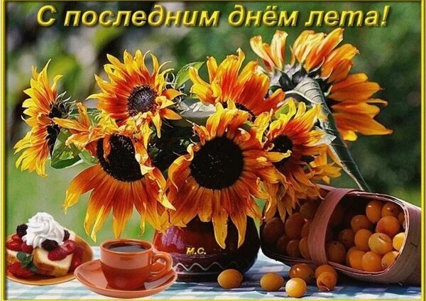 Поздравительная открытка «С последним днем лета!»: яркий букет подсолнухов, кофе, десерт и спелые абрикосы. Теплое летнее настроение на картинке. Открытка С последним днем лета Красивая поздравительная открытка к последнему дню лета. На изображении представлен пышный букет ярких подсолнухов в вазе, чашка ароматного кофе и аппетитный десерт с ягодами. Рядом стоит корзинка со спелыми абрикосами