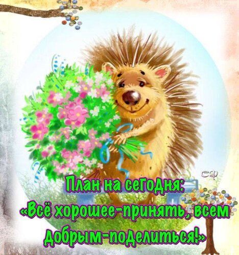 Добрая открытка с ежиком и букетом цветов. Мотивационная цитата: «План на сегодня: все хорошее — принять, всем добрым — поделиться!» для хорошего настроения. Открытка План на сегодня-все хорошее- принять, всем добрым-поделится! Милая и добрая иллюстрация с изображением ежика, который держит большой букет розовых цветов. Картинка наполнена позитивом и уютом. На изображении наложен вдохновляющий текст на русском языке: «План на сегодня: все хорошее — принять, всем добрым — поделиться!». Идеально подходит для использования в качестве поздравительной открытки, мотивационного поста в социальных сетях, сторис или доброго пожелания на каждый день